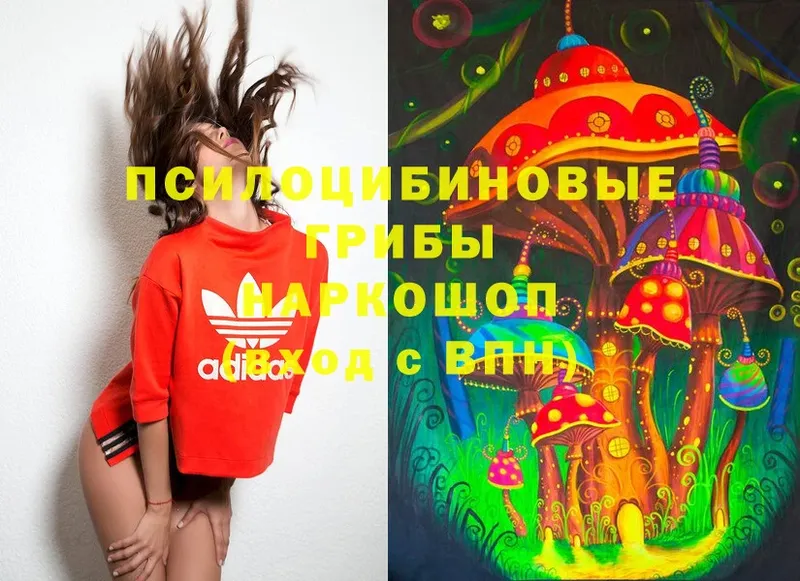 Псилоцибиновые грибы Magic Shrooms  Киржач 